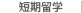 短期留学(小～大学・語学)