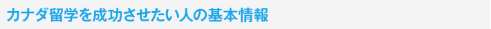 基本情報
