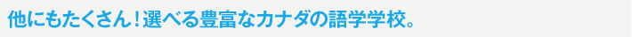 他にもたくさん！選べる豊富な学校。