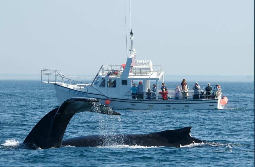 ノバスコシア教育委員会（NSISP）の写真1