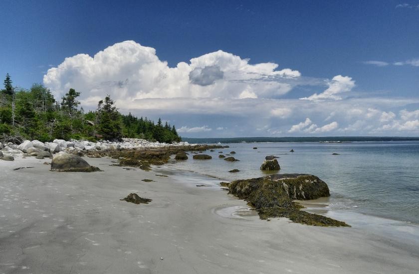 ノバスコシア教育委員会（NSISP）の写真3