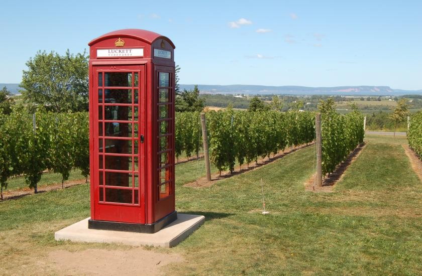 ノバスコシア教育委員会（NSISP）の写真5