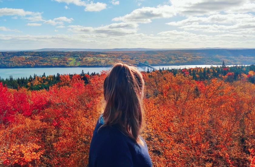 ノバスコシア教育委員会（NSISP）の写真6