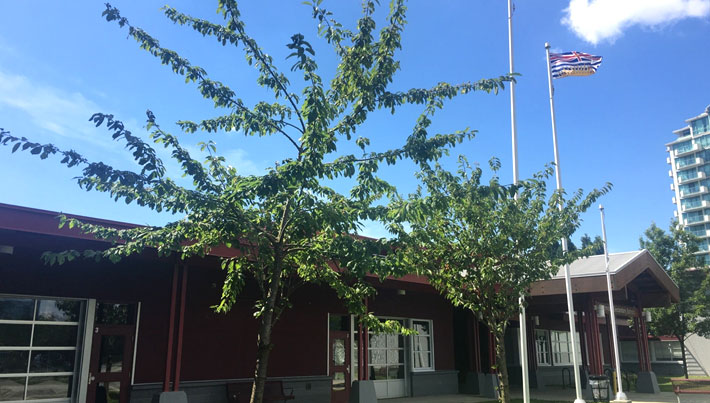 リッチモンド教育委員会